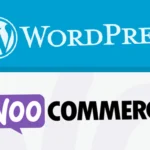 Wordpress +Woocommerce独立站