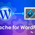 WordPress 独立站加速利器：LiteSpeed Cache