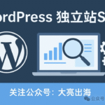 WordPress 独立站 SEO